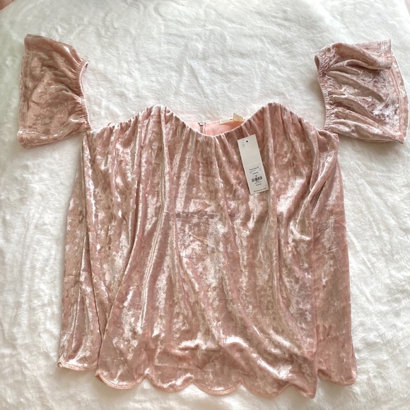 Francesca's Collections Tops - NWT Velvet Pink Top from Francesca’s Size Medium